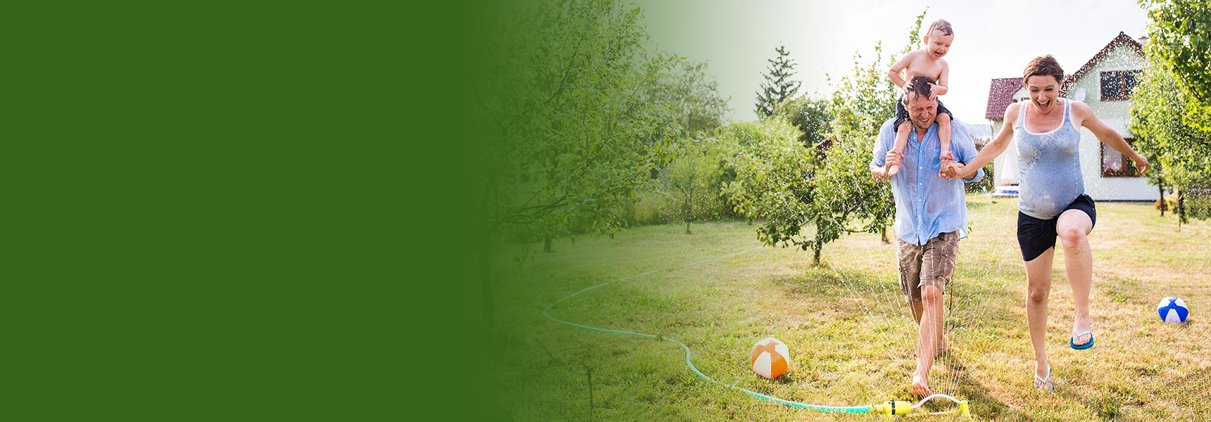 Critter Ridders Pest Extermination Pest Extermination